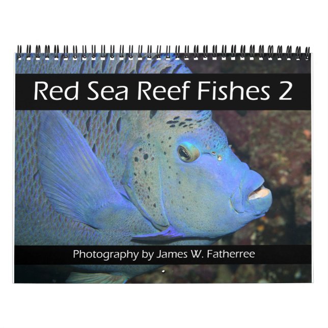 Red Sea Reef Fishes 2 Calendar (Cover)