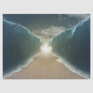 red sea tissue paper