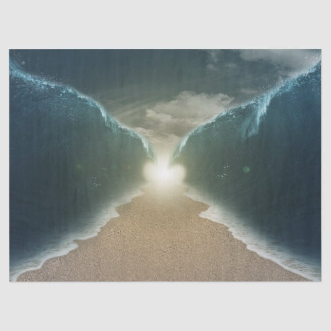 red sea tissue paper (Front)