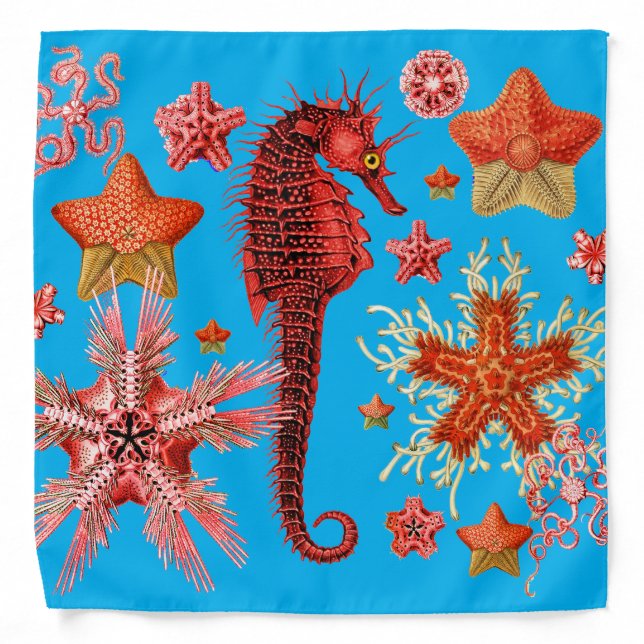 RED SEAHORSE AND SEASTARS IN AQUA BLUE Sea Life Bandana (Front)