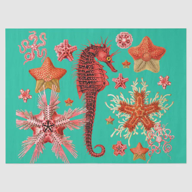 RED SEAHORSE AND SEASTARS IN AQUA BLUE Sea Life Tissue Paper | Zazzle