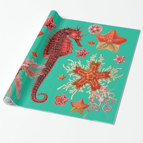 RED SEAHORSE AND SEASTARS IN AQUA BLUE Sea Life Wrapping Paper