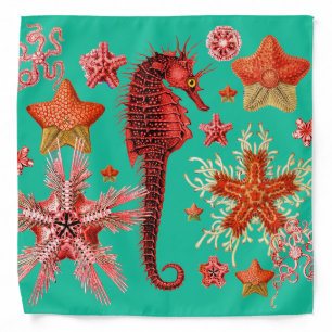 RED SEAHORSE AND SEASTARS TURQUOISE BLUE  Sea Life Bandana