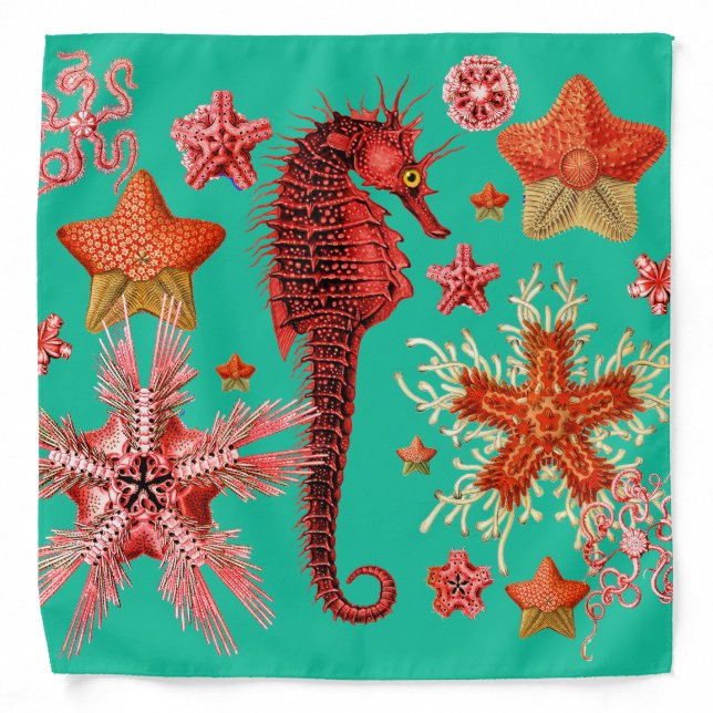 RED SEAHORSE AND SEASTARS TURQUOISE BLUE  Sea Life Bandana (Front)
