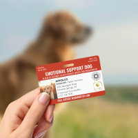 Red Service Dog 2 Logo & Photo ID