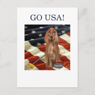 RED SETTER CURLING  POSTCARD