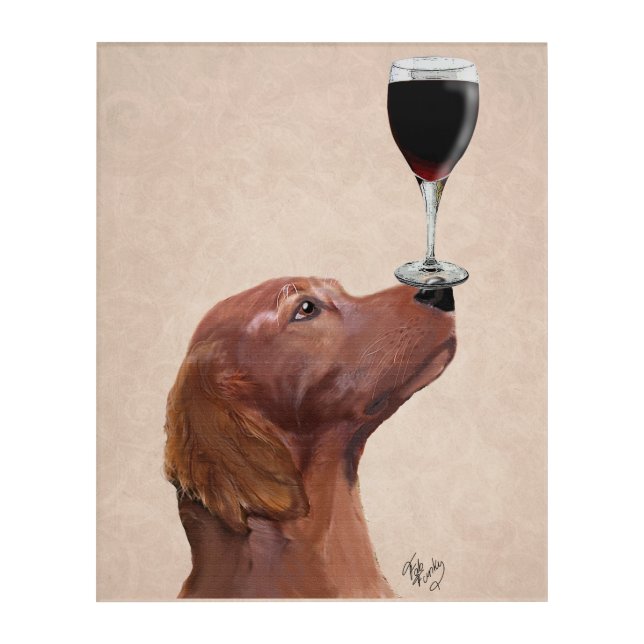 Red Setter Dog Au Vin Acrylic Print (Front)
