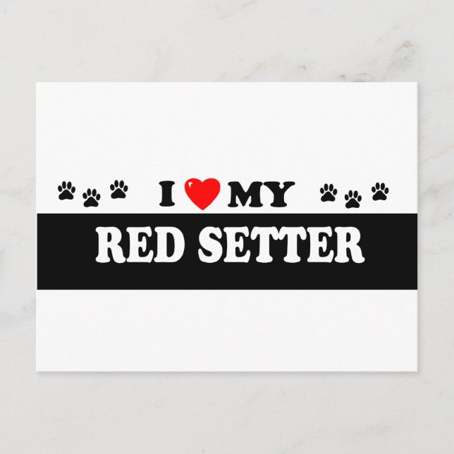 RED SETTER POSTCARD (Front)