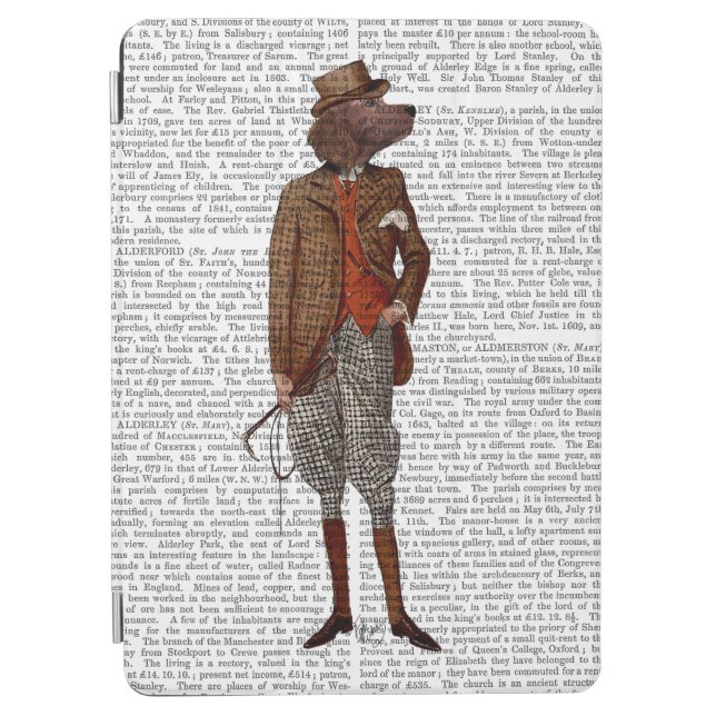 Red Setter Rider Full iPad Air Cover (Front)