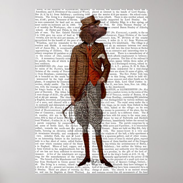 Red Setter Rider Full Poster (Front)