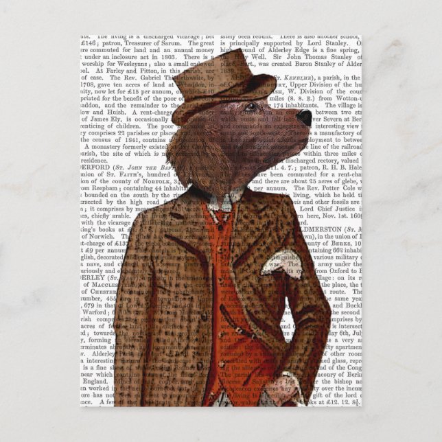 Red Setter Rider Portrait Postcard (Front)