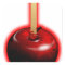 Red Shiny Apple -  Forbidden Fruit