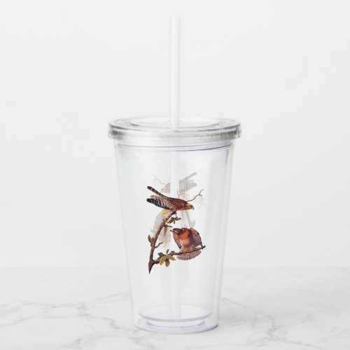 Red Shouldered Hawk Audubon Bird of Prey Acrylic Tumbler