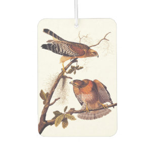 Red Shouldered Hawk Audubon Bird of Prey Air Freshener
