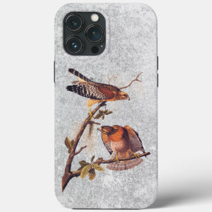 Red Shouldered Hawk Audubon Bird of Prey iPhone 13 Pro Max Case