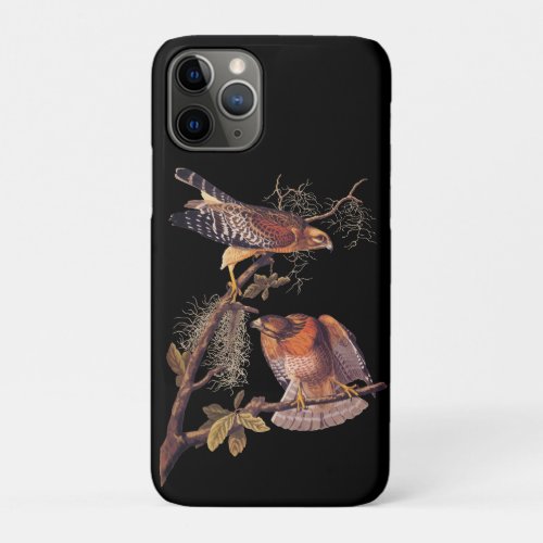 Red Shouldered Hawk Audubon Bird of Prey iPhone 11 Pro Case