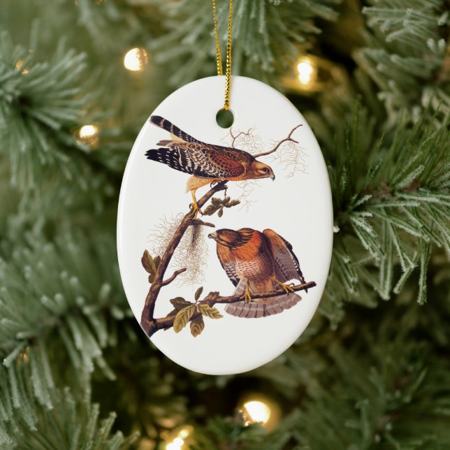 Red Shouldered Hawk Audubon Bird of Prey Ceramic Ornament (Tree)