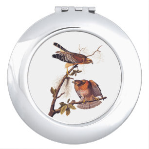 Red Shouldered Hawk Audubon Bird of Prey Compact Mirror