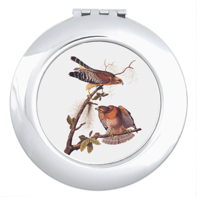 Red Shouldered Hawk Audubon Bird of Prey Compact Mirror (Front)