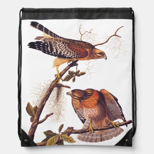 Red Shouldered Hawk Audubon Bird of Prey Drawstring Bag