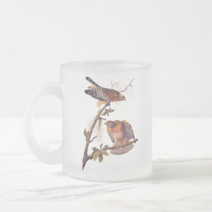 Red Shouldered Hawk Audubon Bird of Prey Frosted Glass Coffee Mug
