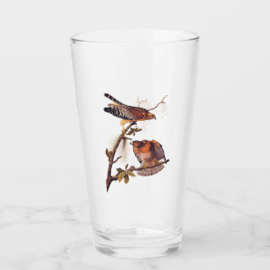 Red Shouldered Hawk Audubon Bird of Prey Glass