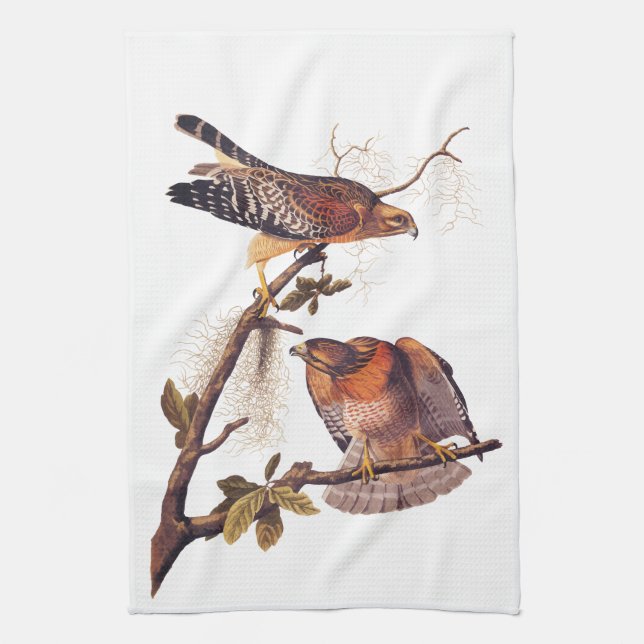 Red Shouldered Hawk Audubon Bird of Prey Kitchen Towel (Vertical)