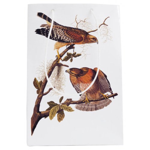 Red Shouldered Hawk Audubon Bird of Prey Medium Gift Bag