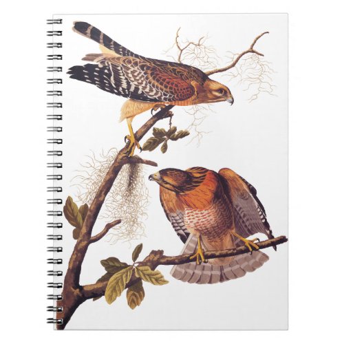 Red Shouldered Hawk Audubon Bird of Prey Notebook