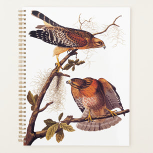Red Shouldered Hawk Audubon Bird of Prey Planner
