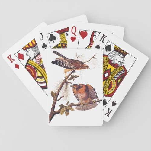 Red Shouldered Hawk Audubon Bird of Prey Playing Cards