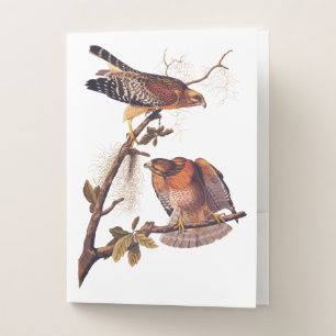 Red Shouldered Hawk Audubon Bird of Prey Pocket Folder