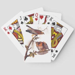 Red Shouldered Hawk Audubon Bird of Prey Poker Cards