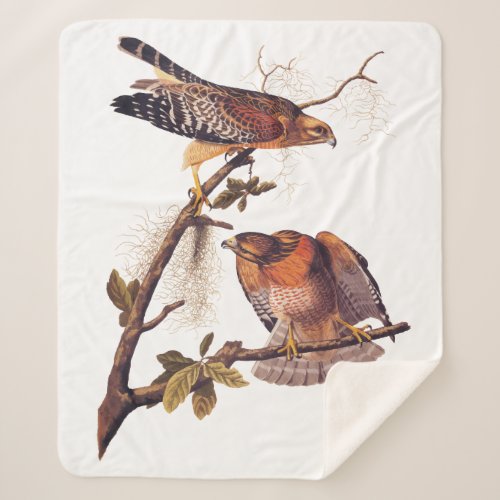 Red Shouldered Hawk Audubon Bird of Prey Sherpa Blanket