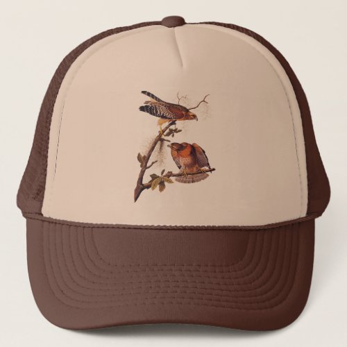 Red Shouldered Hawk Audubon Bird of Prey Trucker Hat
