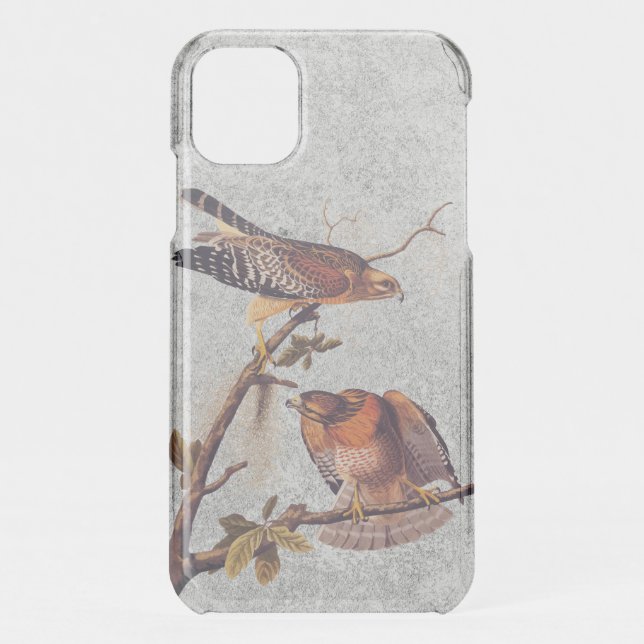 Red Shouldered Hawk Audubon Bird of Prey Uncommon iPhone Case (Back)