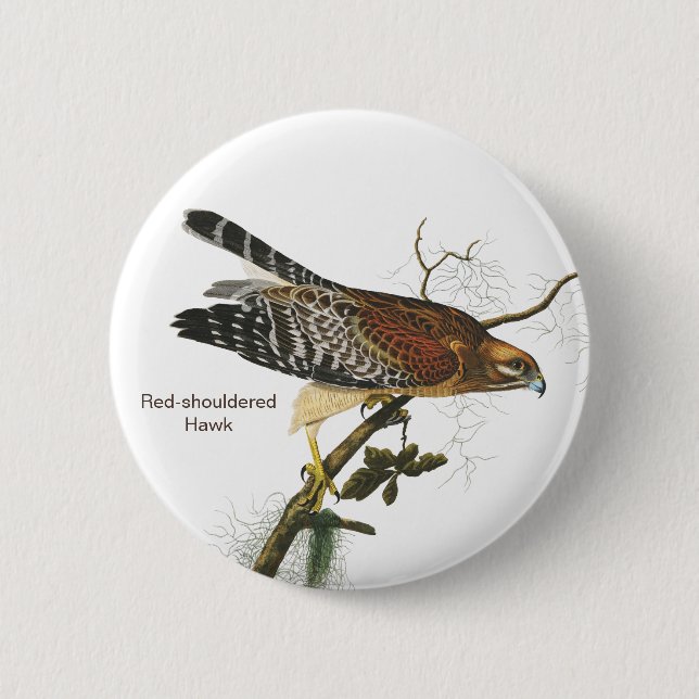 Red-shouldered Hawk, Audubon, Birdwatcher's Bird Button (Front)