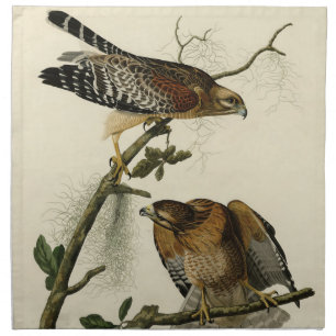 Red-shouldered Hawk - Audubon's Birds of America Cloth Napkin