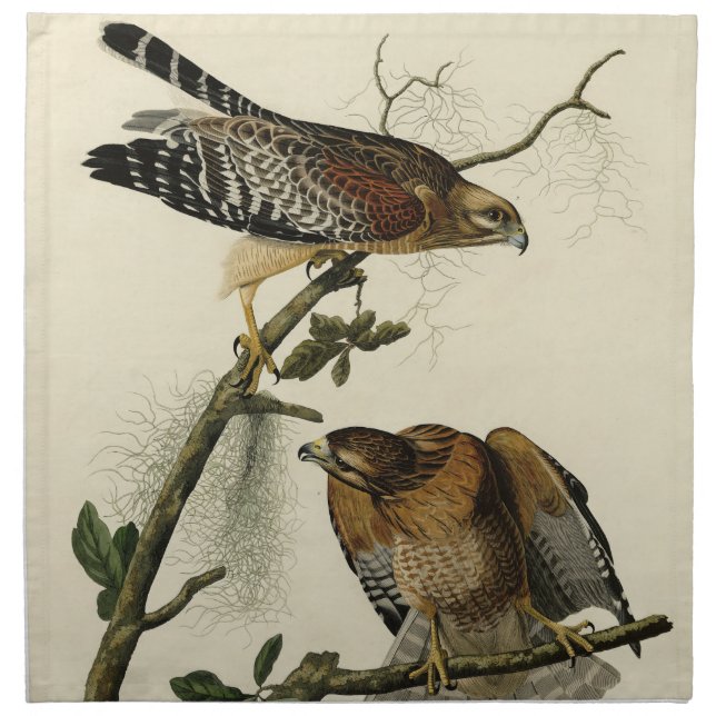 Red-shouldered Hawk - Audubon's Birds of America Cloth Napkin (Front)