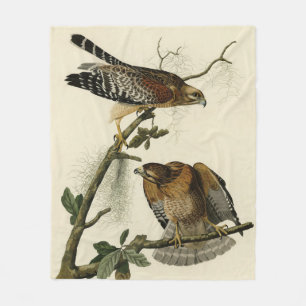Red-shouldered Hawk - Audubon's Birds of America Fleece Blanket