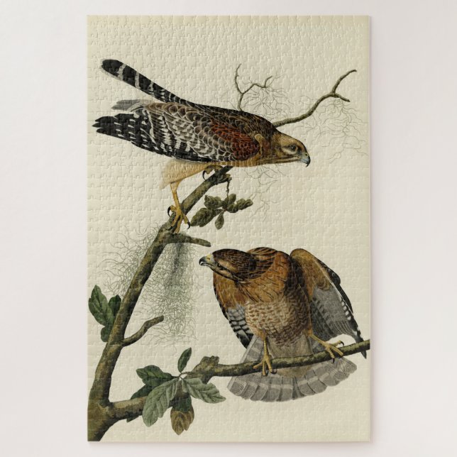 Red-shouldered Hawk - Audubon's Birds of America Jigsaw Puzzle (Vertical)