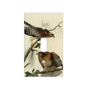 Red-shouldered Hawk - Audubon's Birds of America Light Switch Cover