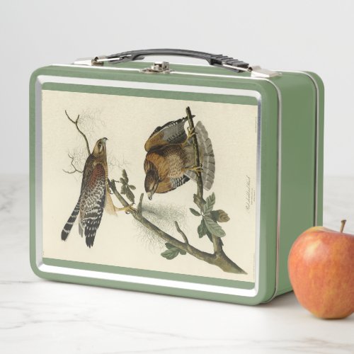Red_shouldered Hawk _ Audubons Birds of America Metal Lunch Box