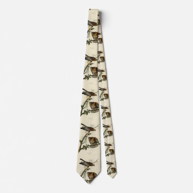 Red-shouldered Hawk - Audubon's Birds of America Neck Tie (Front)