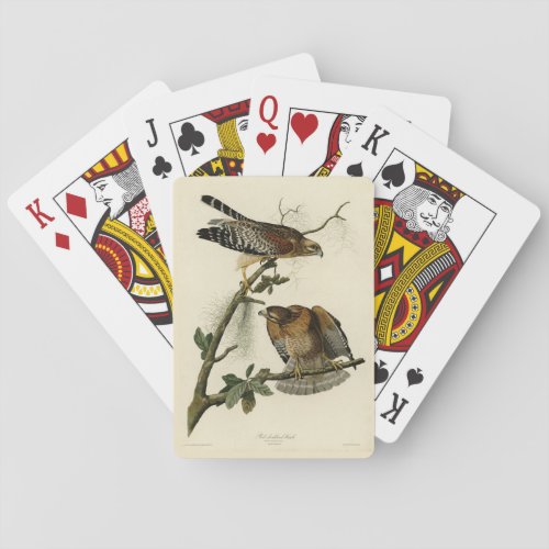 Red_shouldered Hawk _ Audubons Birds of America Playing Cards