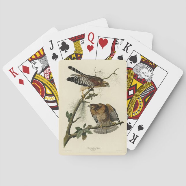 Red-shouldered Hawk - Audubon's Birds of America Poker Cards (Back)