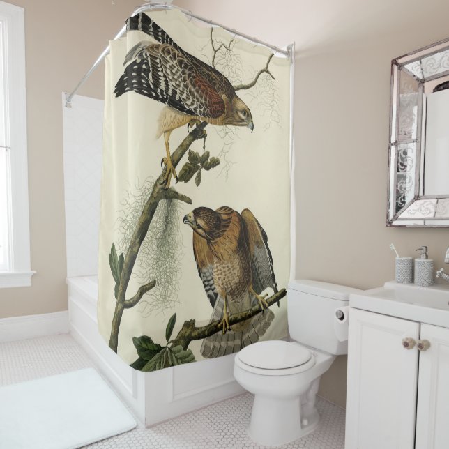 Red-shouldered Hawk - Audubon's Birds of America Shower Curtain (In Situ)