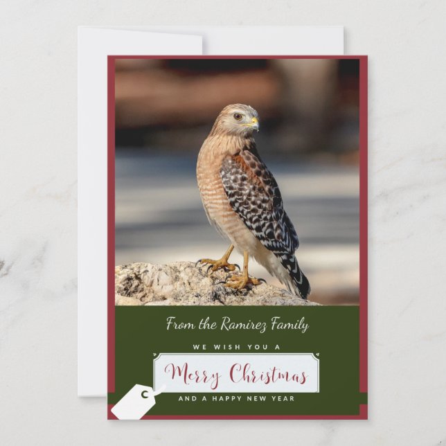 Red-Shouldered Hawk Christmas Card (Front)