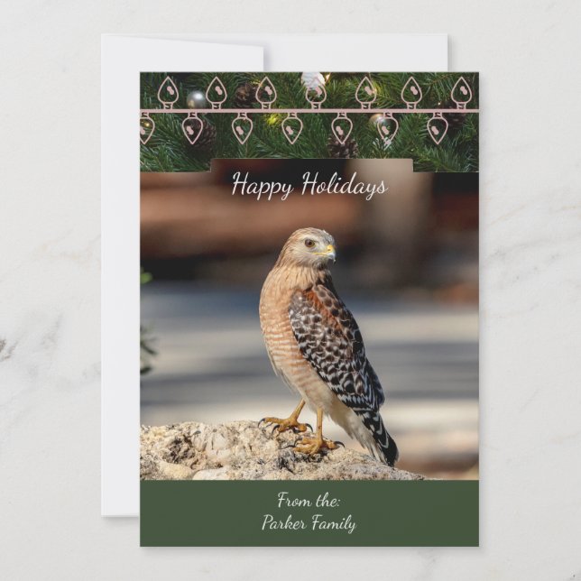 Red-Shouldered Hawk Christmas Card (Front)