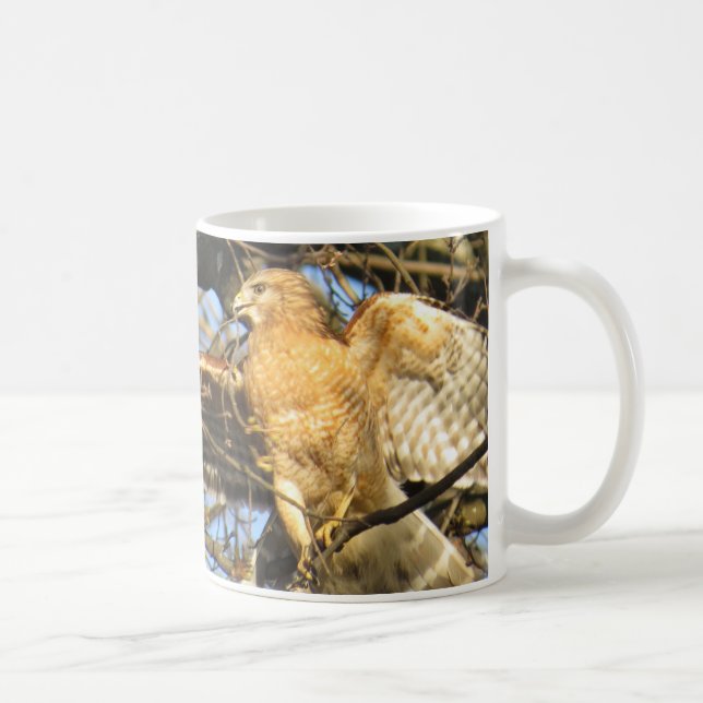Red-shouldered Hawk Coffee Mug (Right)